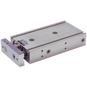 CXSM, Dual Piston Rods, Slide Bearing – CXSM25TF-30