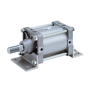 C(D)S2, Air Cylinder, Double Acting, Single Rod – CS2B320TF-100