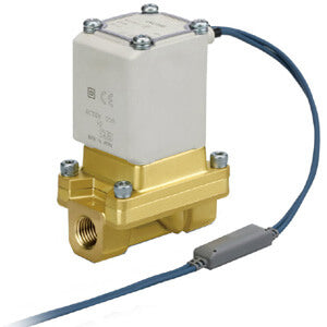 VXS2, Pilot Operated 2 Port Solenoid Valve for Steam – VXS235CGA
